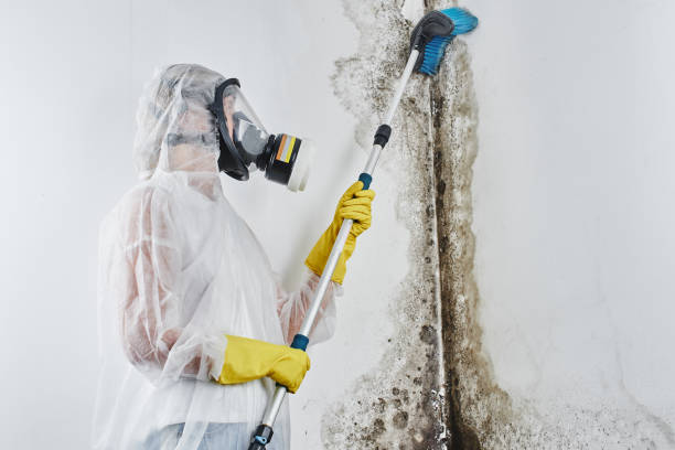 Best Crawl Space Mold Removal  in Sunset Beach, NC
