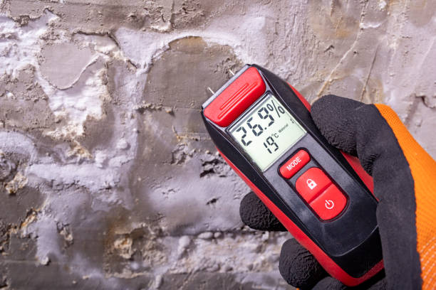 Best Mold Testing  in Sunset Beach, NC