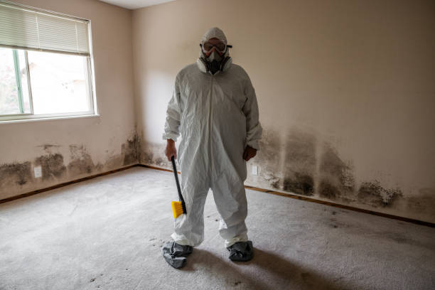 Best Commercial Mold Removal  in Sunset Beach, NC